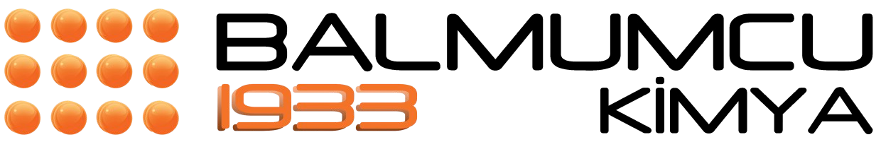 Site Logo Koyu Tema